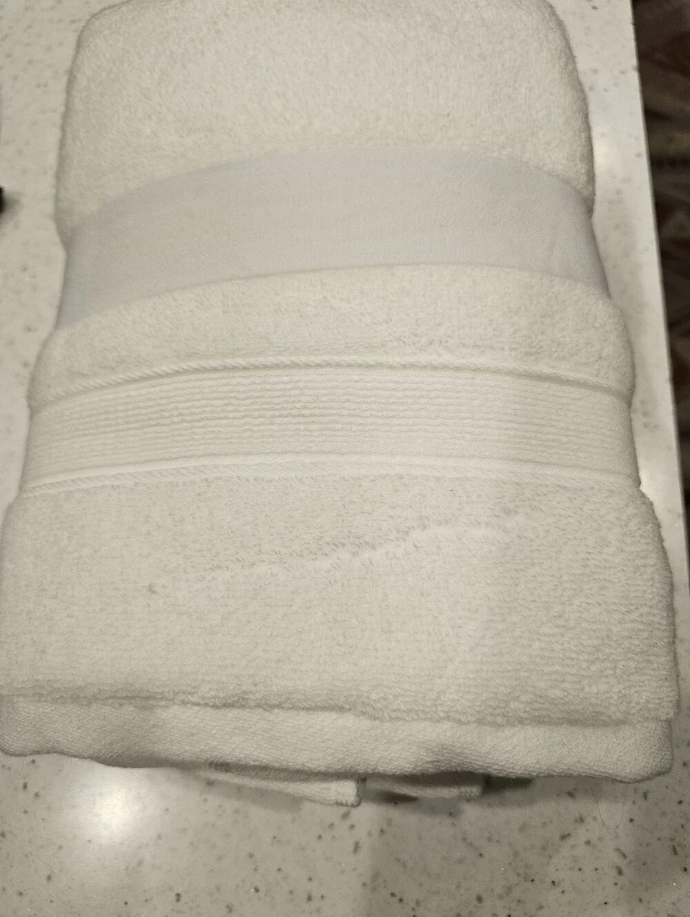 Cozy Earth Luxe Hand Towels - White